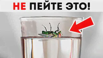 50 советов для ситуаций, в которых нужно действовать быстро