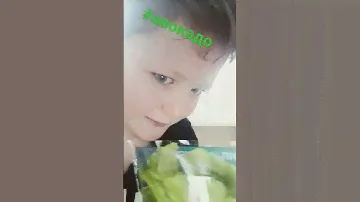 #АВОКАДО #АВОКАДО                  #авокадо