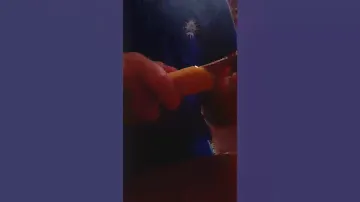 Выдержит ли кость авокадо концелярский нож? 🔪