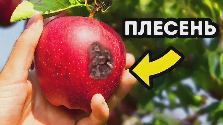 90+ уникальных фактов, о которых не узнать без Google