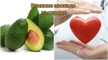 Авокадо в Алании. Результаты последних исследований о влиянии авокадо на сердце.