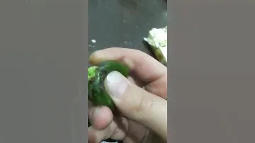 прикол с авокадо 🥑