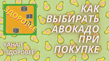Как выбрать авокадо. Сорта авокадо. Польза и вред авокадо
