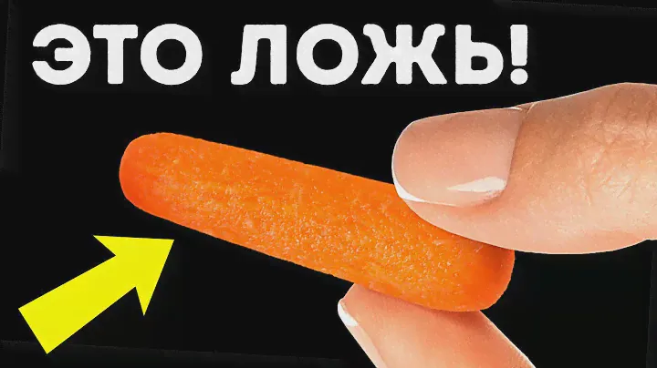 101 случайный факт для поддержания любого разговора