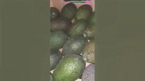 Авокадо оптом