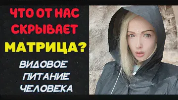 НА КОГО РАБОТАЕТ МЕДИЧИна? ВИДОВОЕ ПИТАНИЕ ЧЕЛОВЕКА. Внутри живет - ГИДРА.