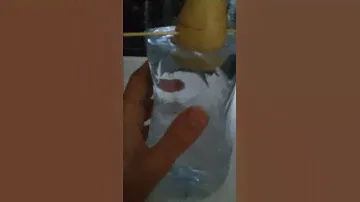 Я РОЩЮ АВОКАДО 🥑 , ИНТЕРЕСНО ЧТО ПОЛУЧИТСЯ ❤️❤️❤️