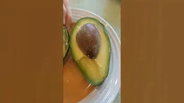 🥑Какой авокадо лучше? Сравниваем хасс и авокадо из "Магнита"⤵️Подпишитесь на наш канал!