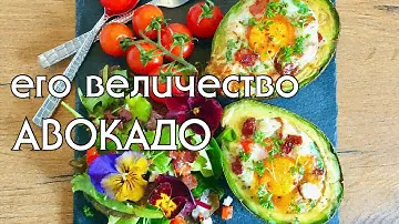 5 СПОСОБОВ ПОЛЮБИТЬ АВОКАДО // ЗАВТРАКИ, САЛАТЫ, СМУЗИ, СОУС ИЗ АВОКАДО // LOW CARB